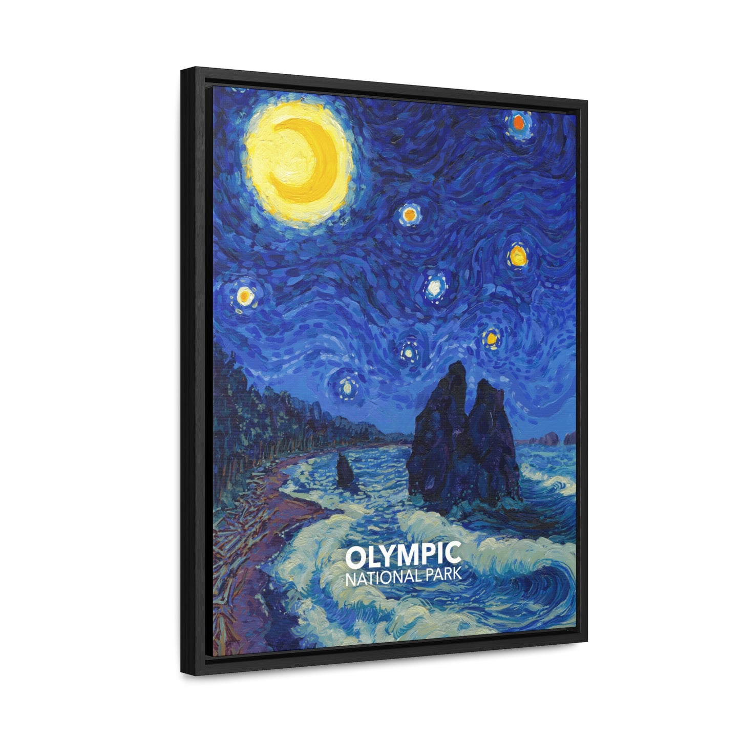 Olympic National Park Framed Canvas - The Starry Night