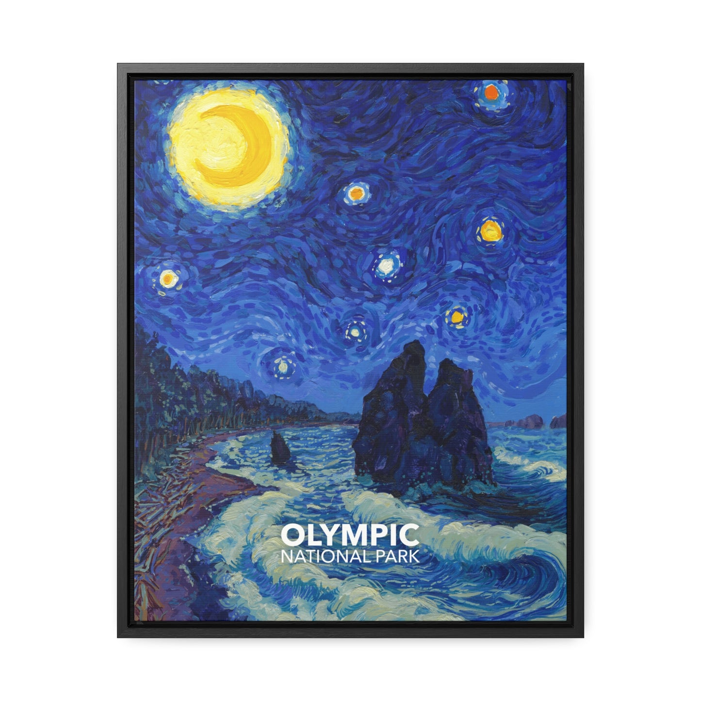 Olympic National Park Framed Canvas - The Starry Night