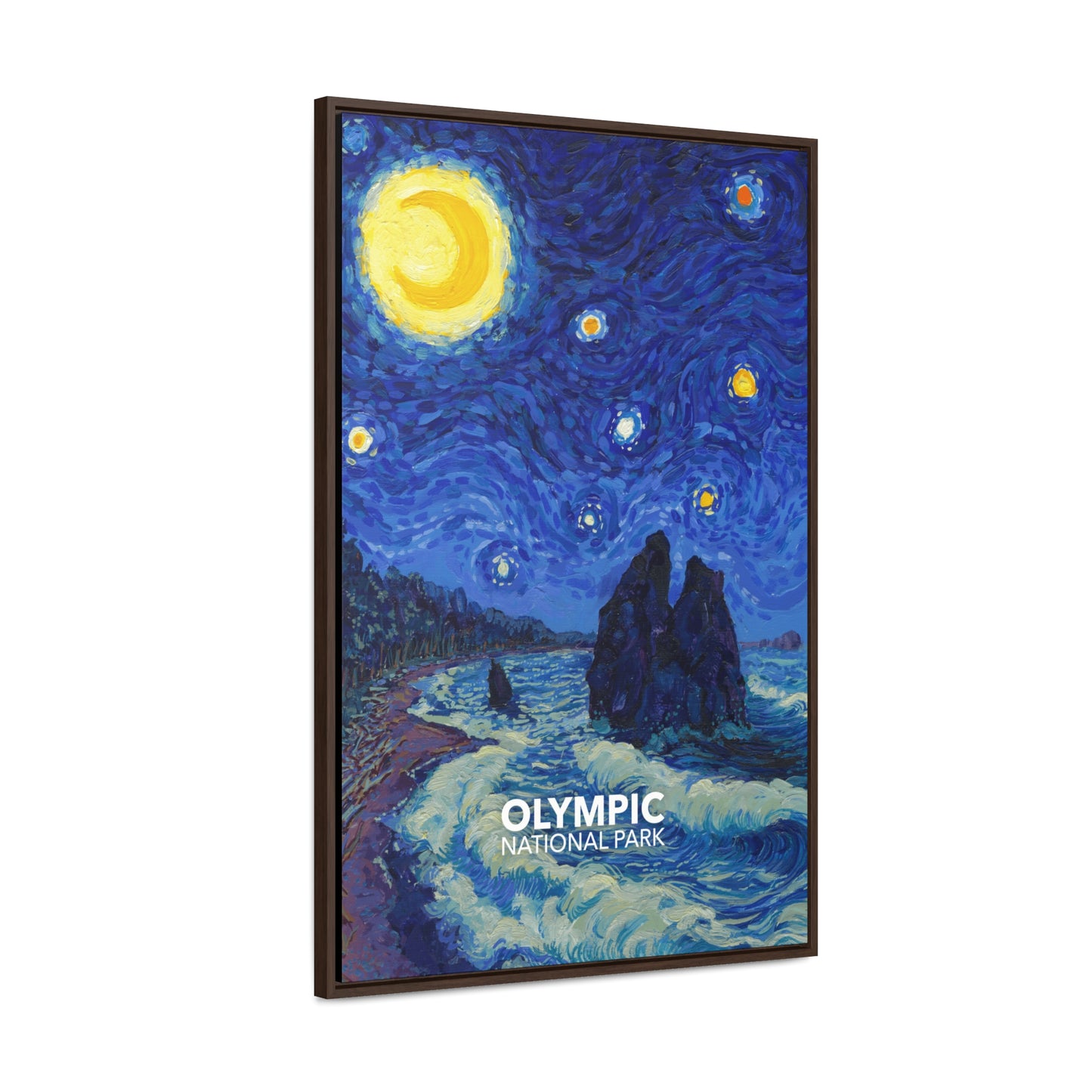 Olympic National Park Framed Canvas - The Starry Night