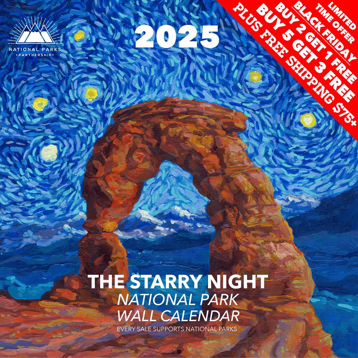 2025 Starry Night National Park Wall Calendar