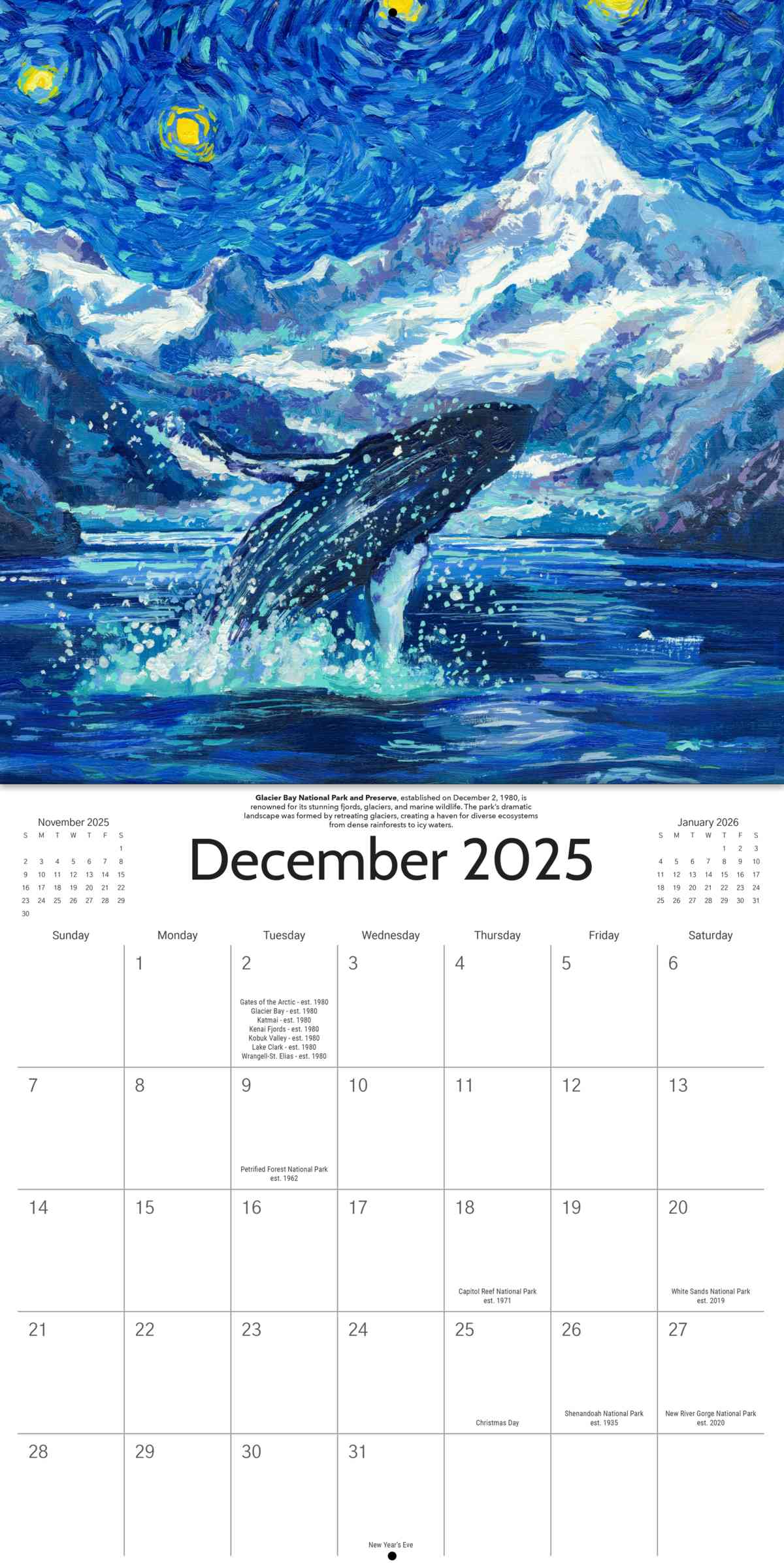 2025 Starry Night National Park Wall Calendar