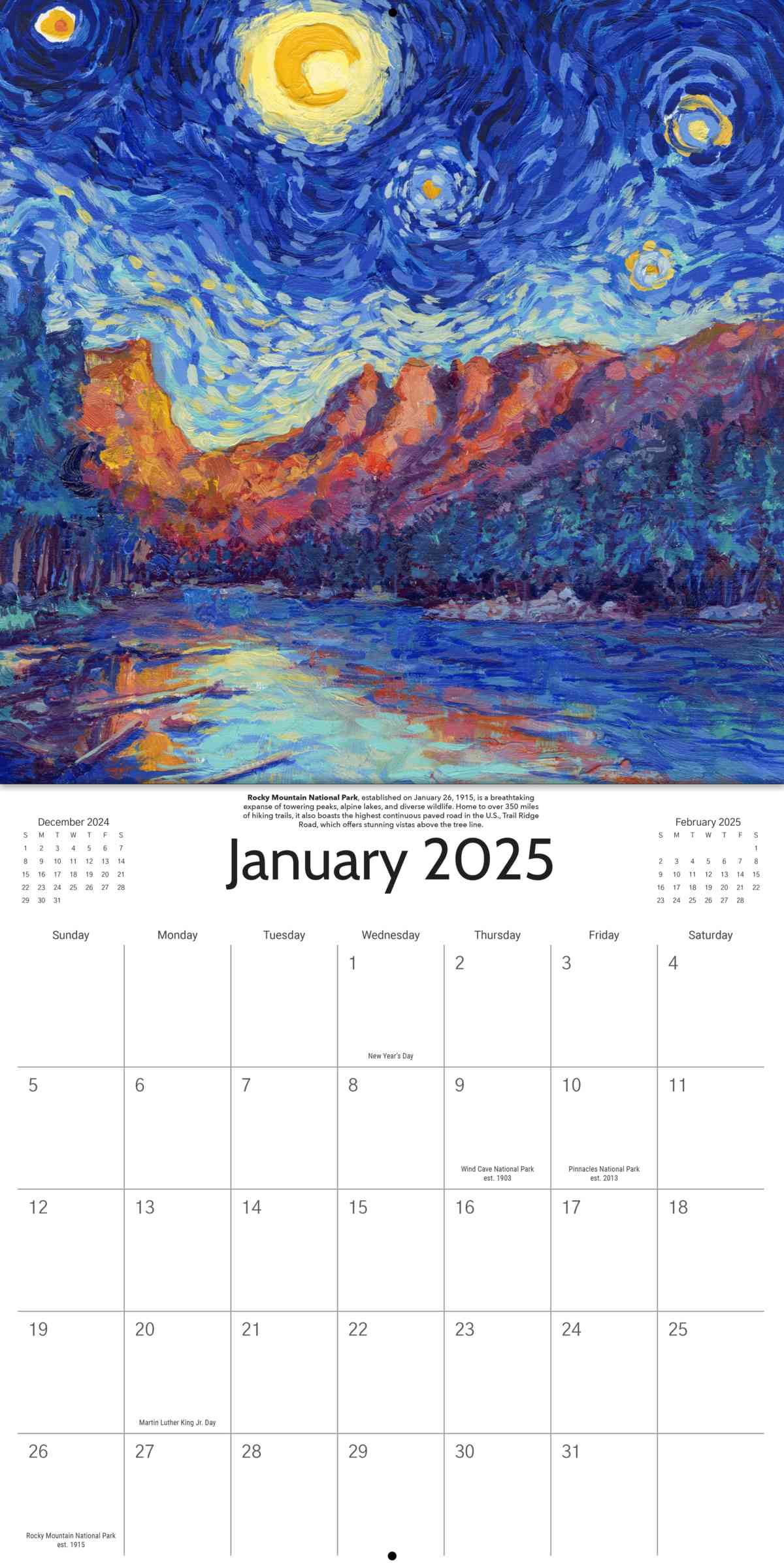 2025 Starry Night National Park Wall Calendar