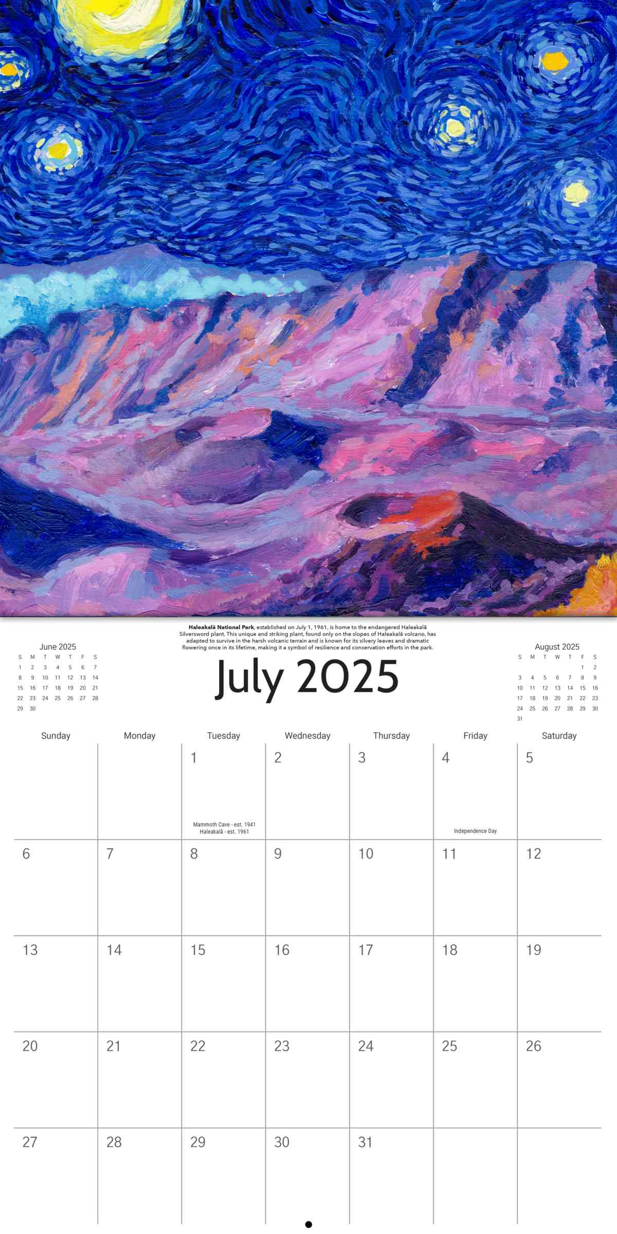 PREORDER SHIPS SEP/OCT - 2025 Starry Night National Park Calendar