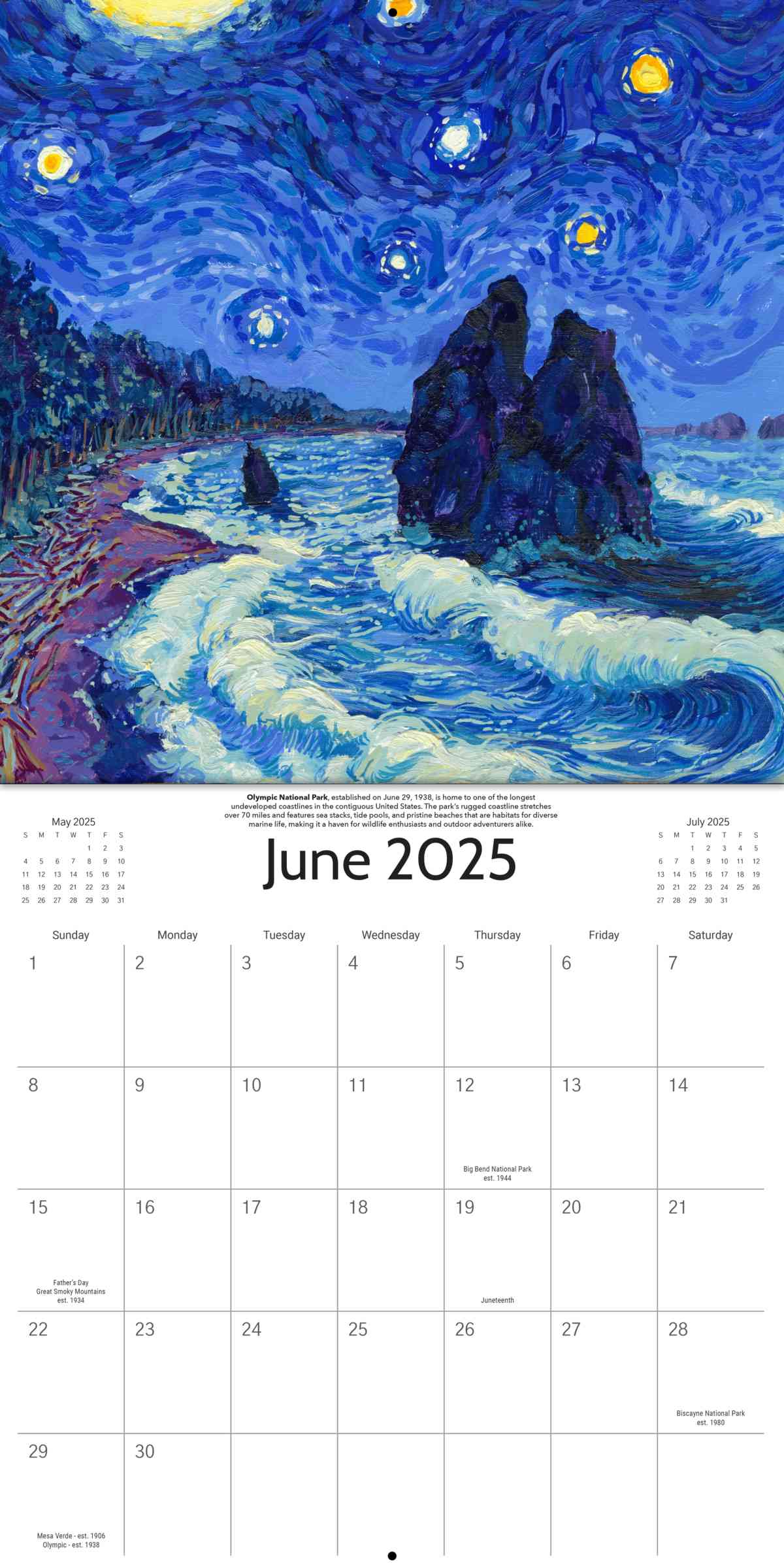 2025 Starry Night National Park Wall Calendar