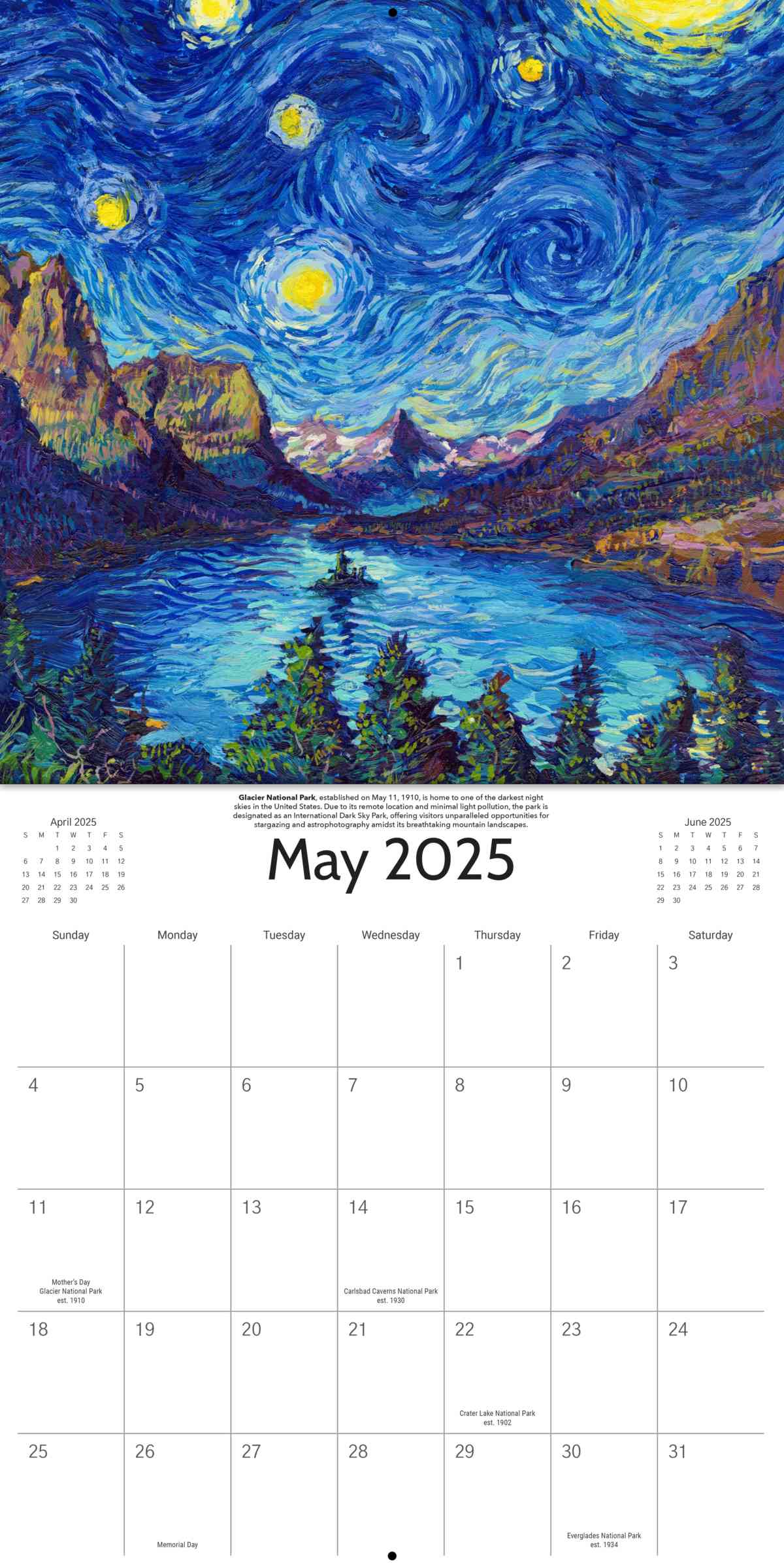 2025 Starry Night National Park Wall Calendar