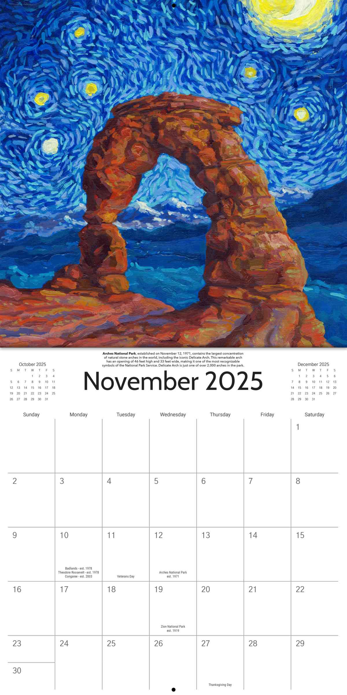 2025 Starry Night National Park Wall Calendar