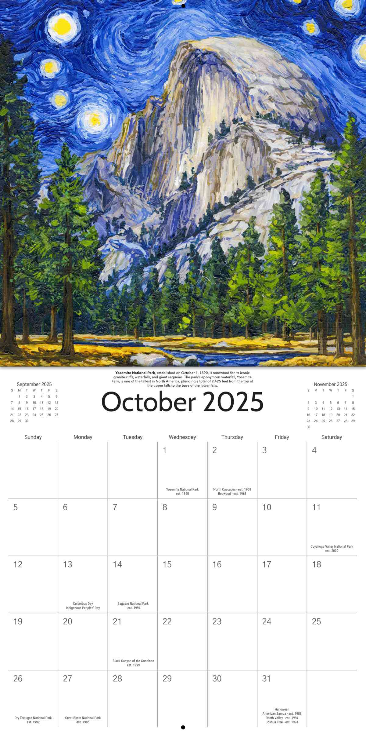 2025 Starry Night National Park Wall Calendar