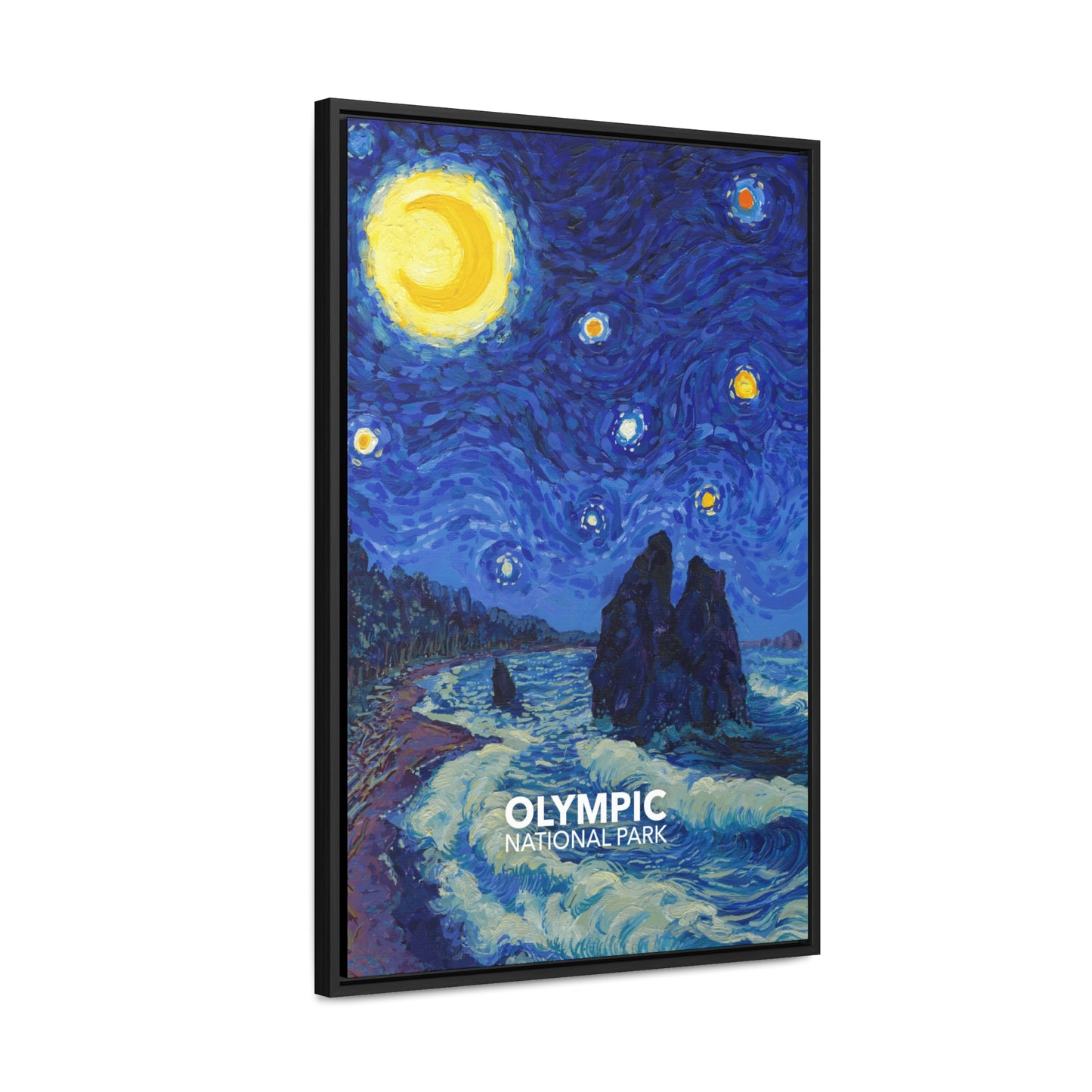 Olympic National Park Framed Canvas - The Starry Night