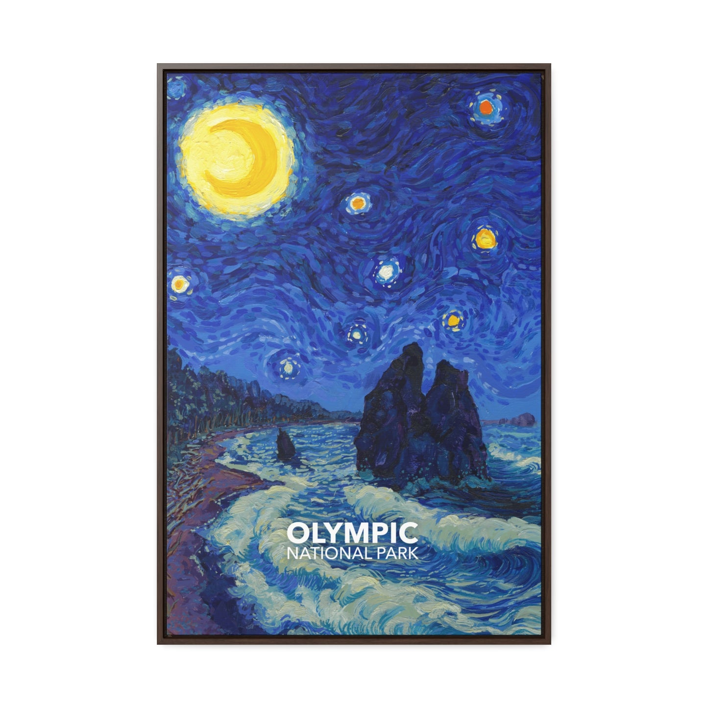 Olympic National Park Framed Canvas - The Starry Night