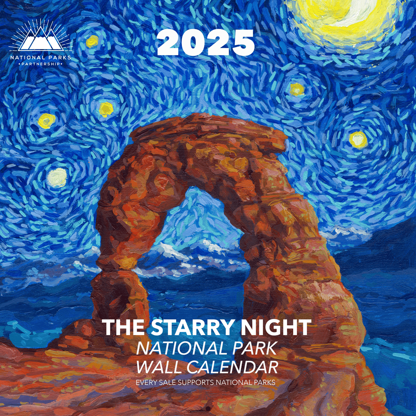 2025 Starry Night National Park Wall Calendar