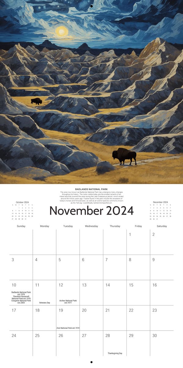 Starry Night 2024 Calendar National Parks Partnership   National Park Calendar November 